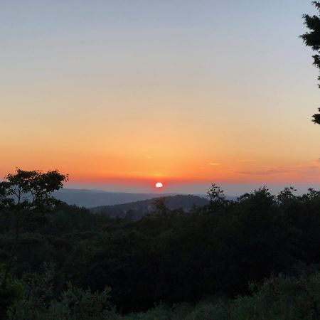 Вілла Poggio Al Sole Badia A Passigano Екстер'єр фото