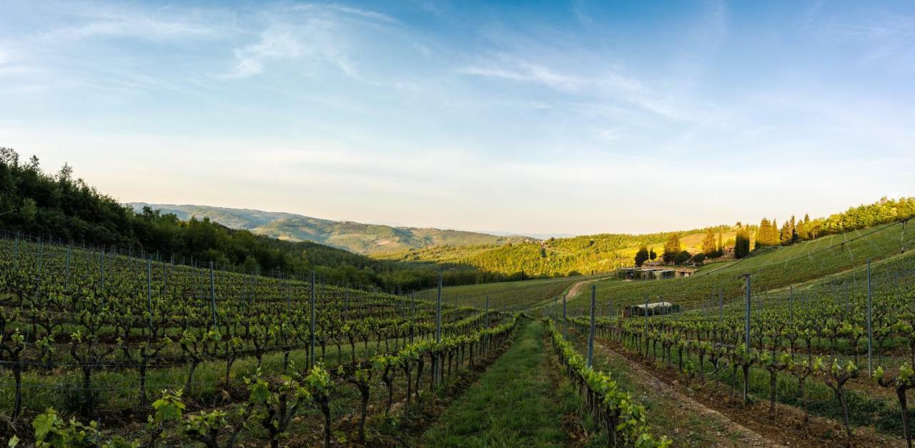 Вілла Poggio Al Sole Badia A Passigano Екстер'єр фото